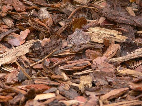 Enhancing Curb Appeal with Summit Spell Bark Mulch